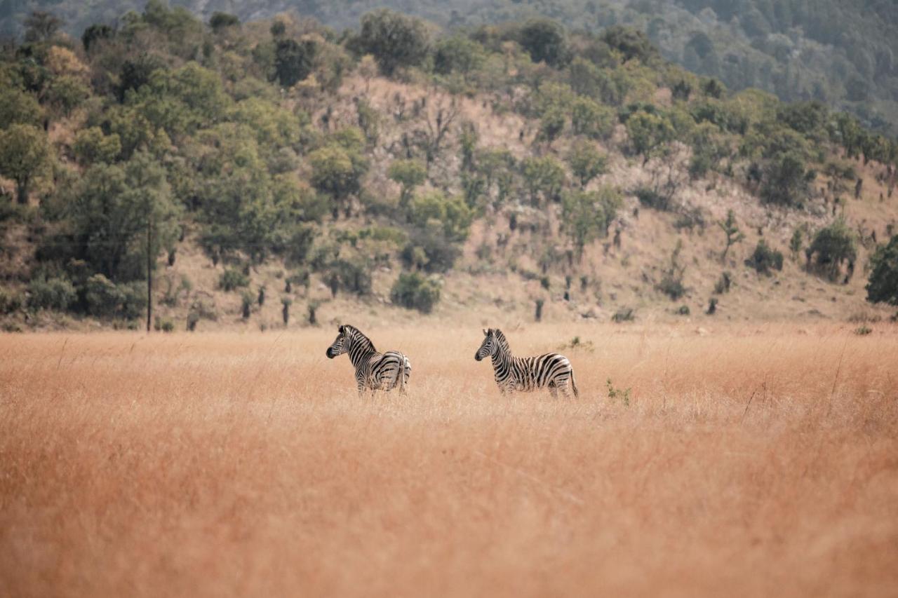Dawsons Game Lodge Badplaas Luaran gambar
