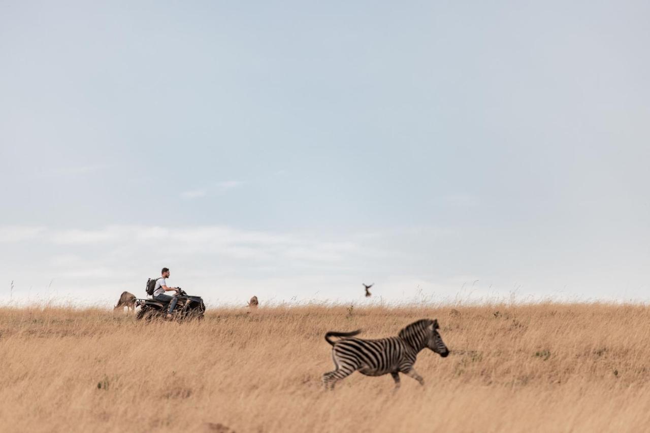 Dawsons Game Lodge Badplaas Luaran gambar